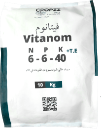 فيتانوم ٦-٦-٤٠