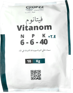 فيتانوم ٦-٦-٤٠