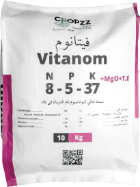 فيتانوم ٨-٥-٣٧