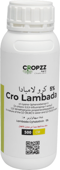 كرو لمبادا ٥%