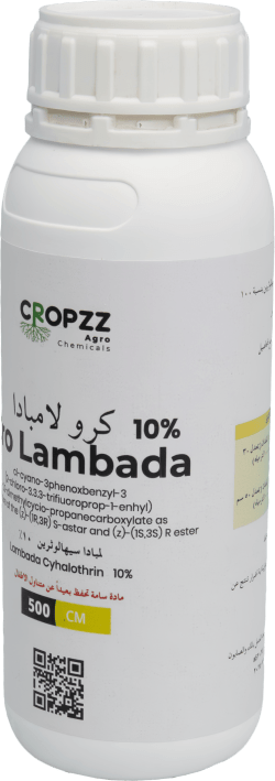 كرو لمبادا ١٠%