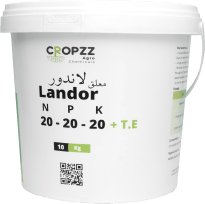 لاندور ٢٠-٢٠-٢٠