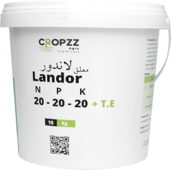 لاندور ٢٠-٢٠-٢٠