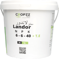 لاندور ٦-٦-٤٠