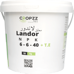 لاندور ٦-٦-٤٠